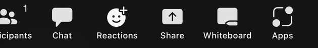 Share screen button in Zoom